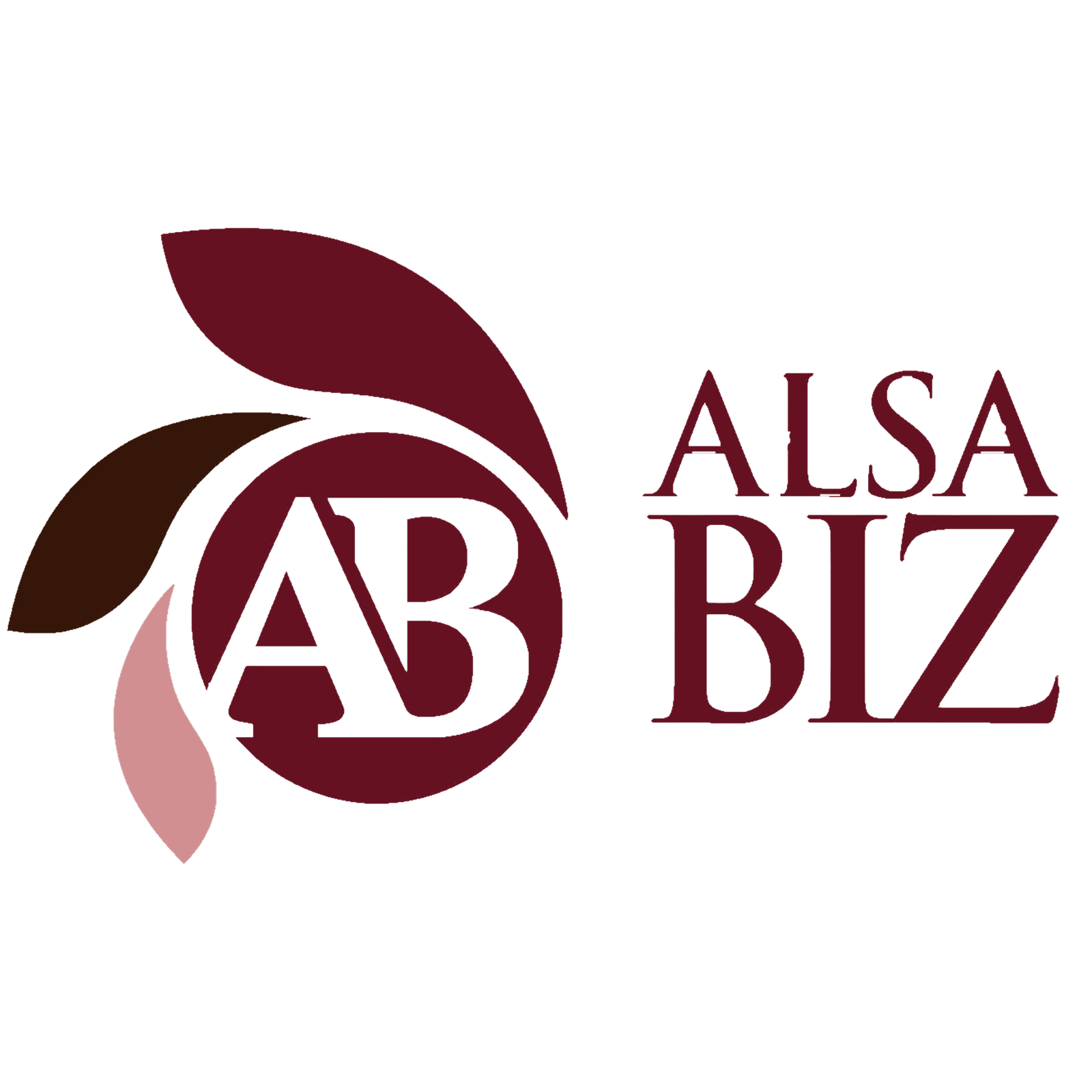 Alsa Business